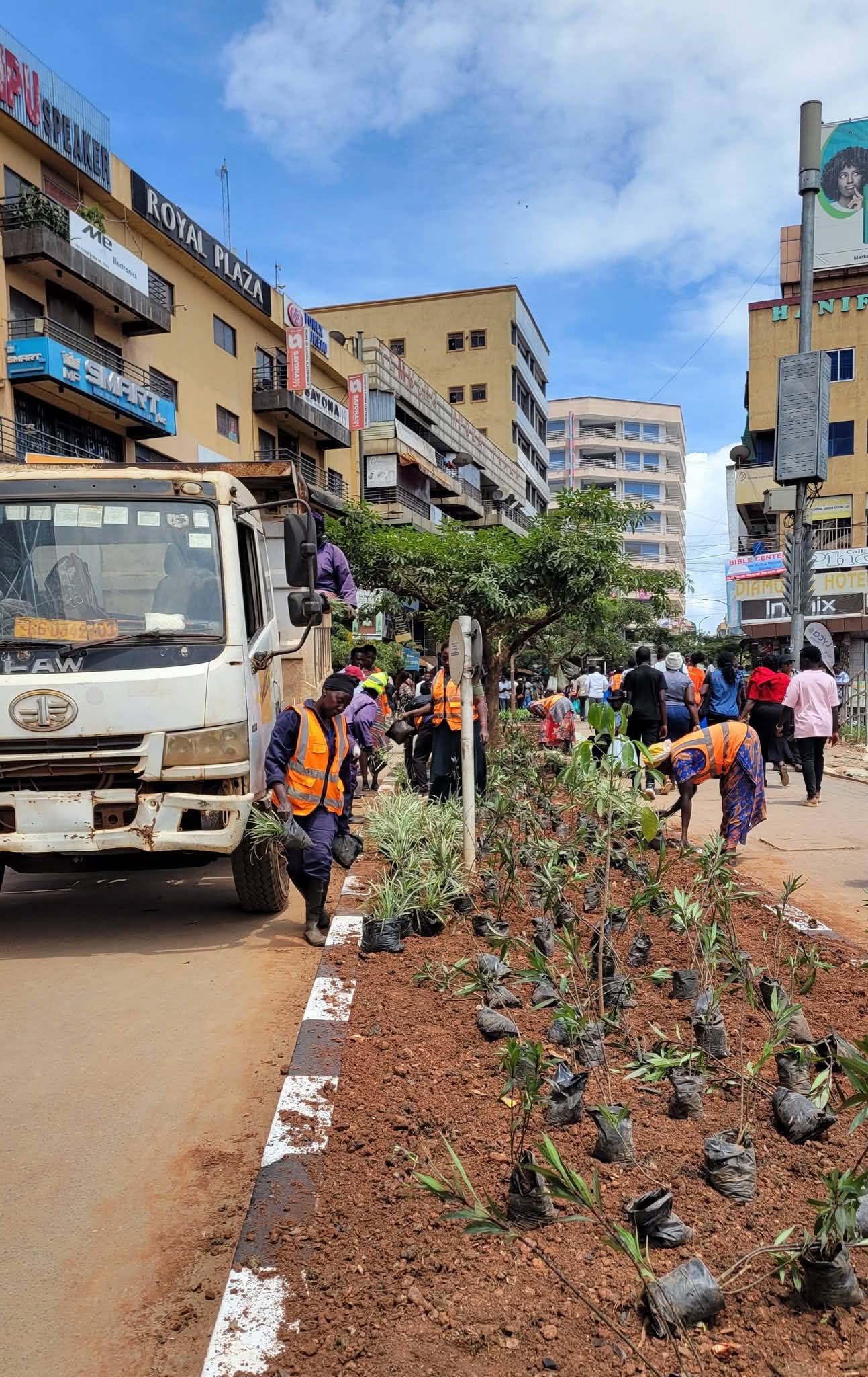 Namirembe road tree planting